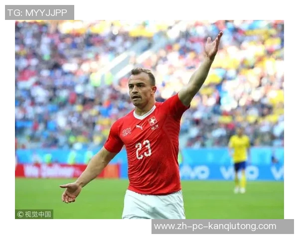 鹰与狼的对决谁能在自然界中称王称霸